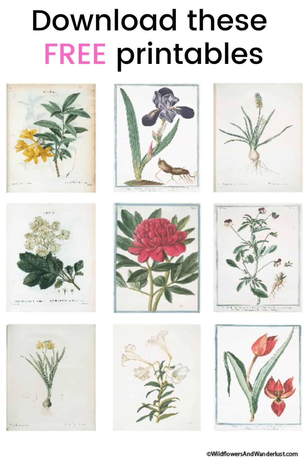 Free Printable Vintage Flower Designs Free Printable Vintage Flower Designs