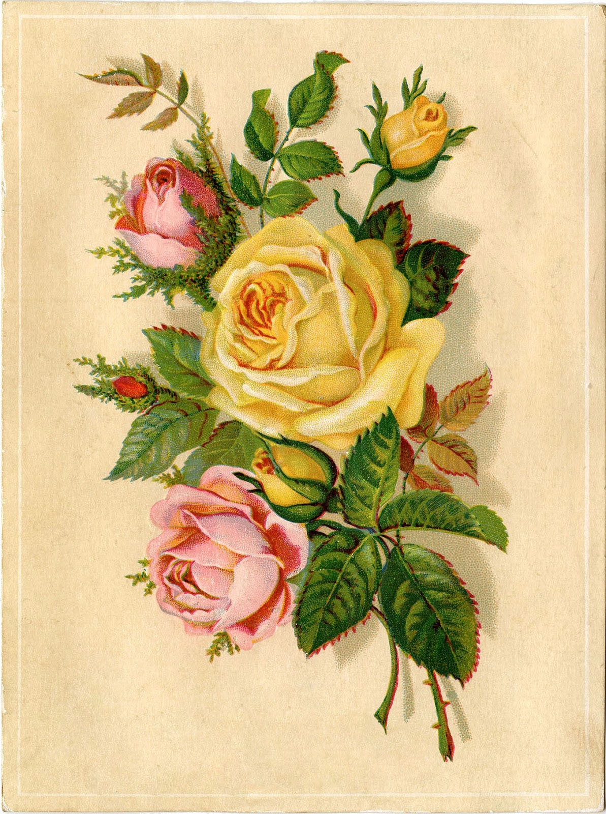 672 Vintage Flower Images The Graphics Fairy 672 Vintage Flower Images The Graphics Fairy