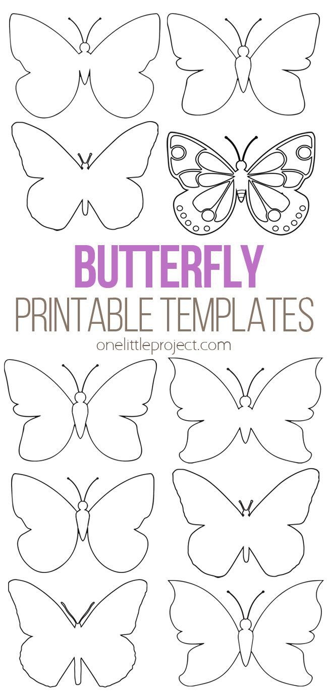 Butterfly Template Free Printable Butterfly Outlines One 