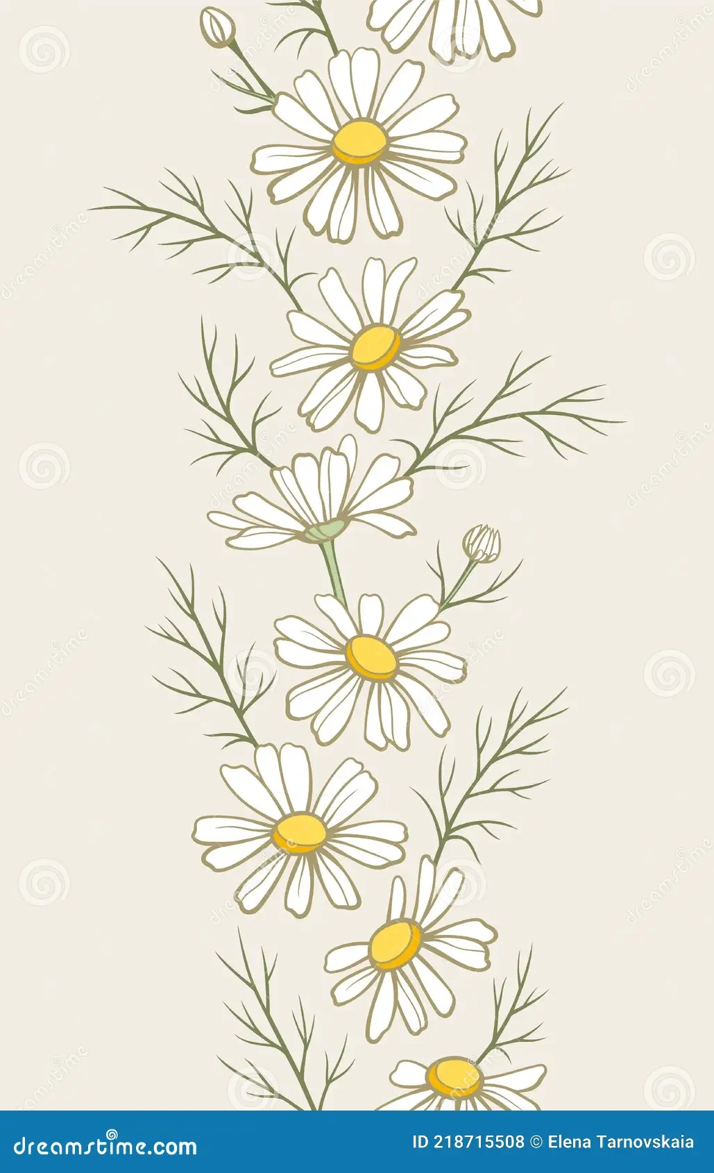 Chamomile Flowers Seamless Border Line Art Drawing Daisy Wild 
