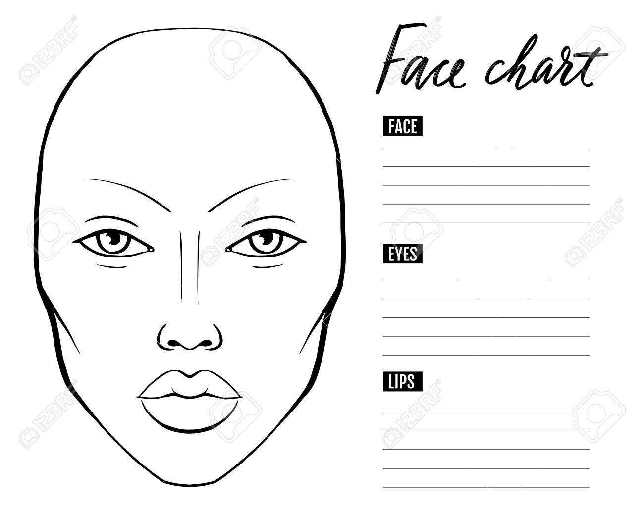 Face Chart Blank Makeup Artist Vector Template Royalty Free SVG 