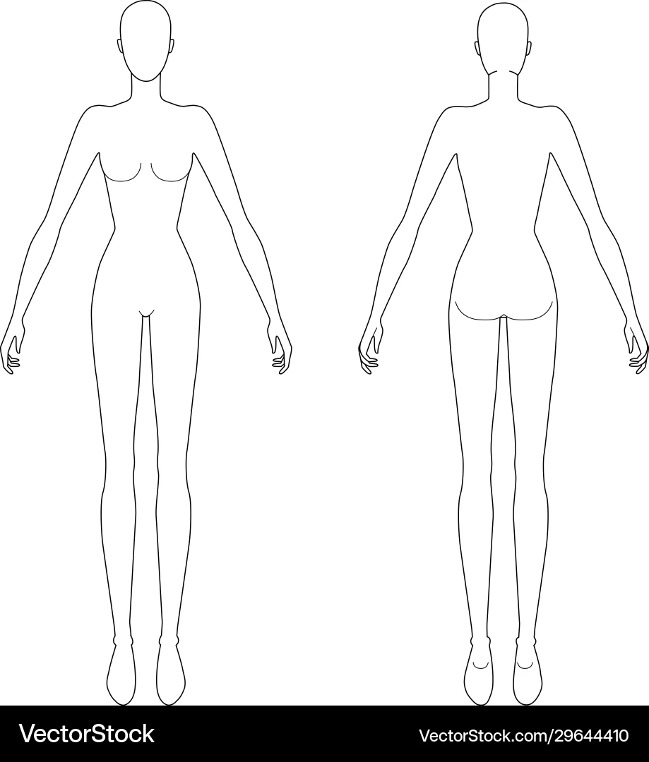 Fashion Female Figure Template Royalty Free Vector Image Fashion Female Figure Template Royalty Free Vector Image