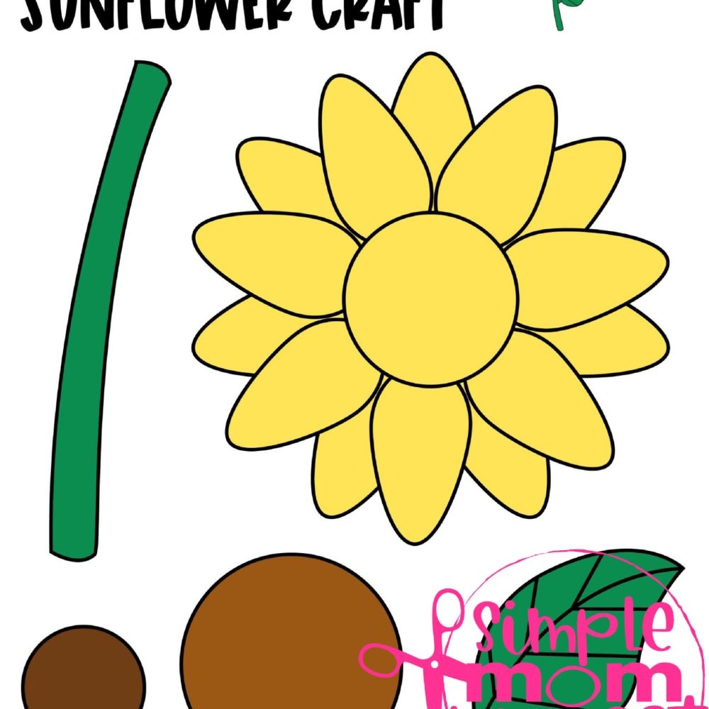 Printable Color Flowers Template