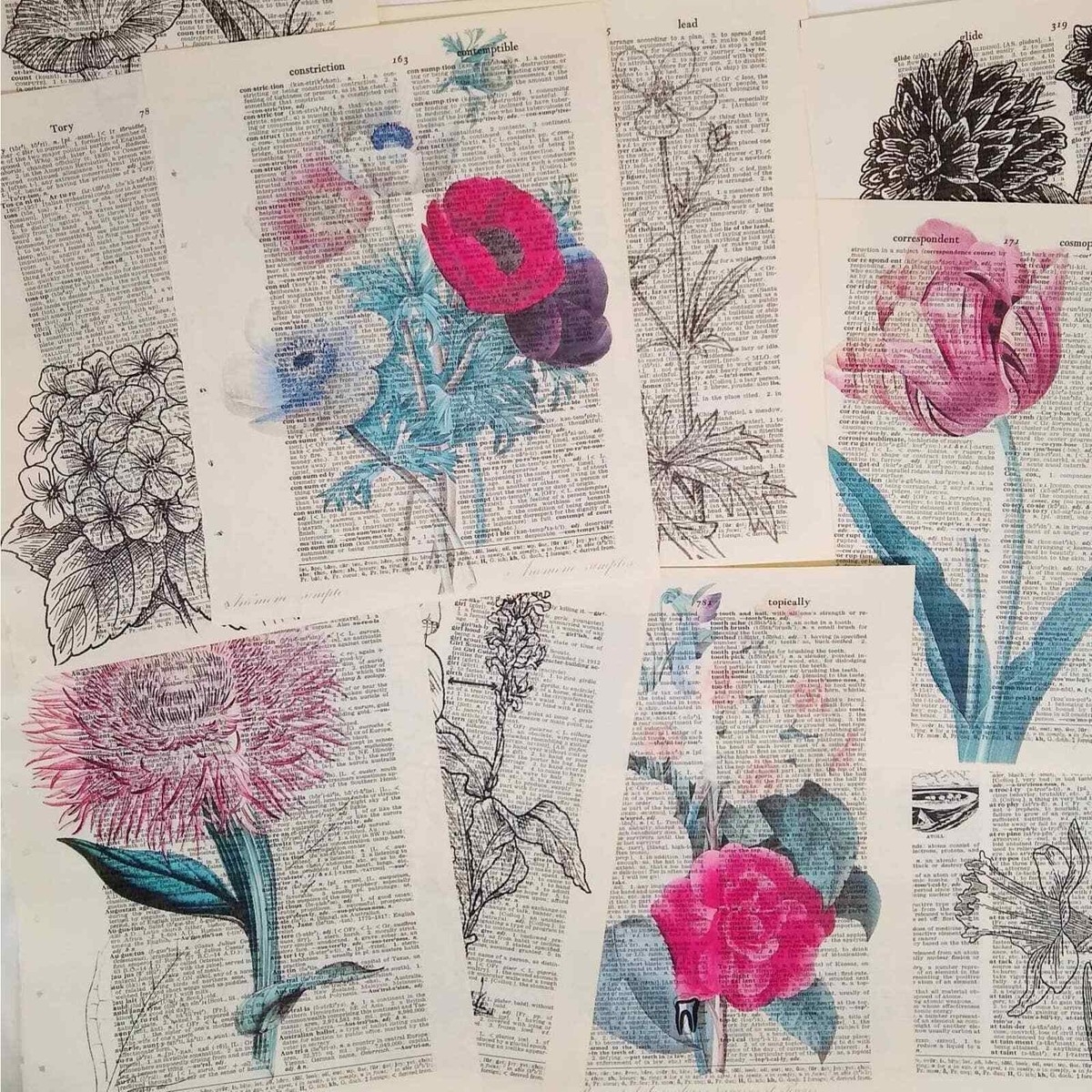 Flower Vintage Dictionary Prints Colorful Floral Prints Book 