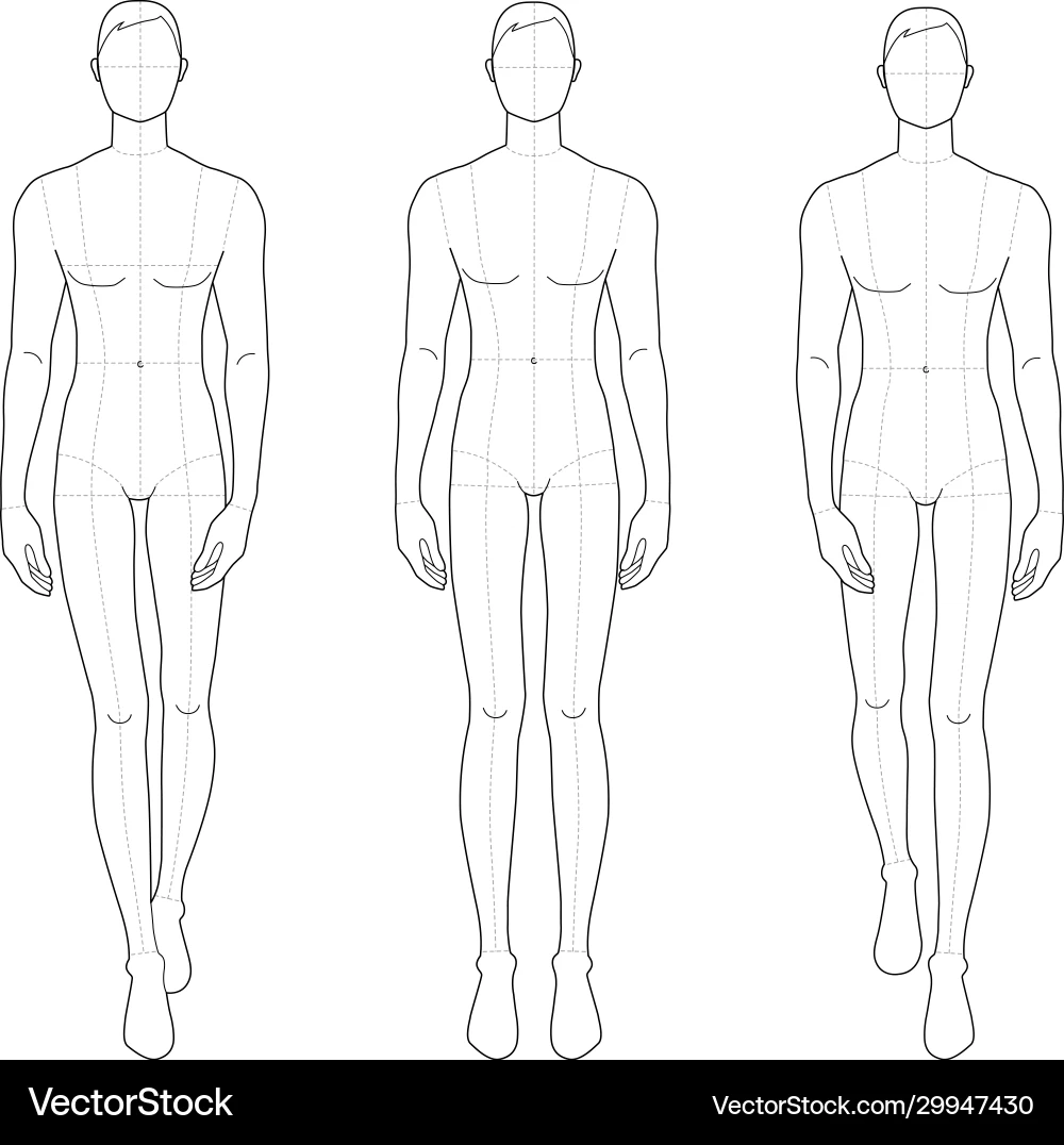 Male Fashion Figure Template Royalty Free Vector Image