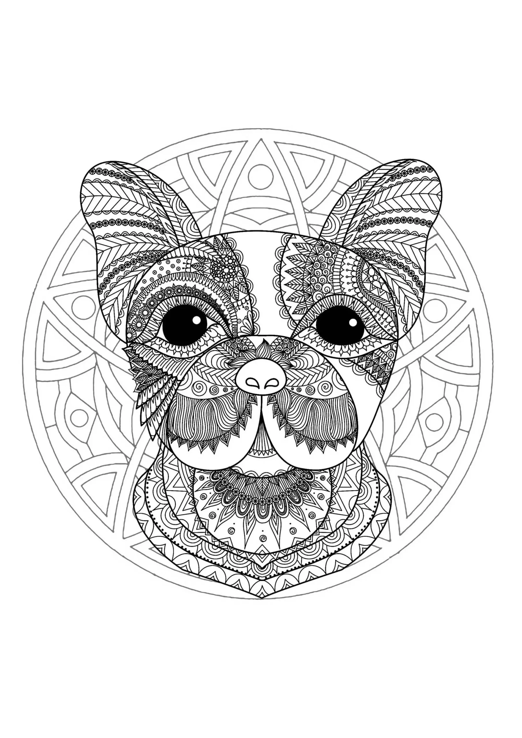 Mandala With Funny Dog Head And Elegant Patterns Mandalas 