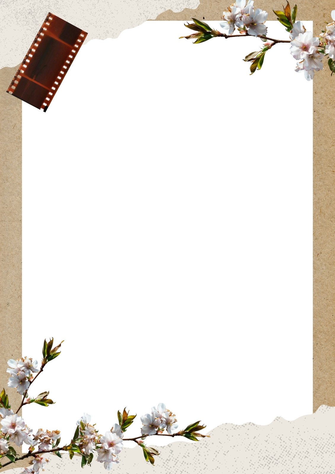 Free Printable Page Border Designs