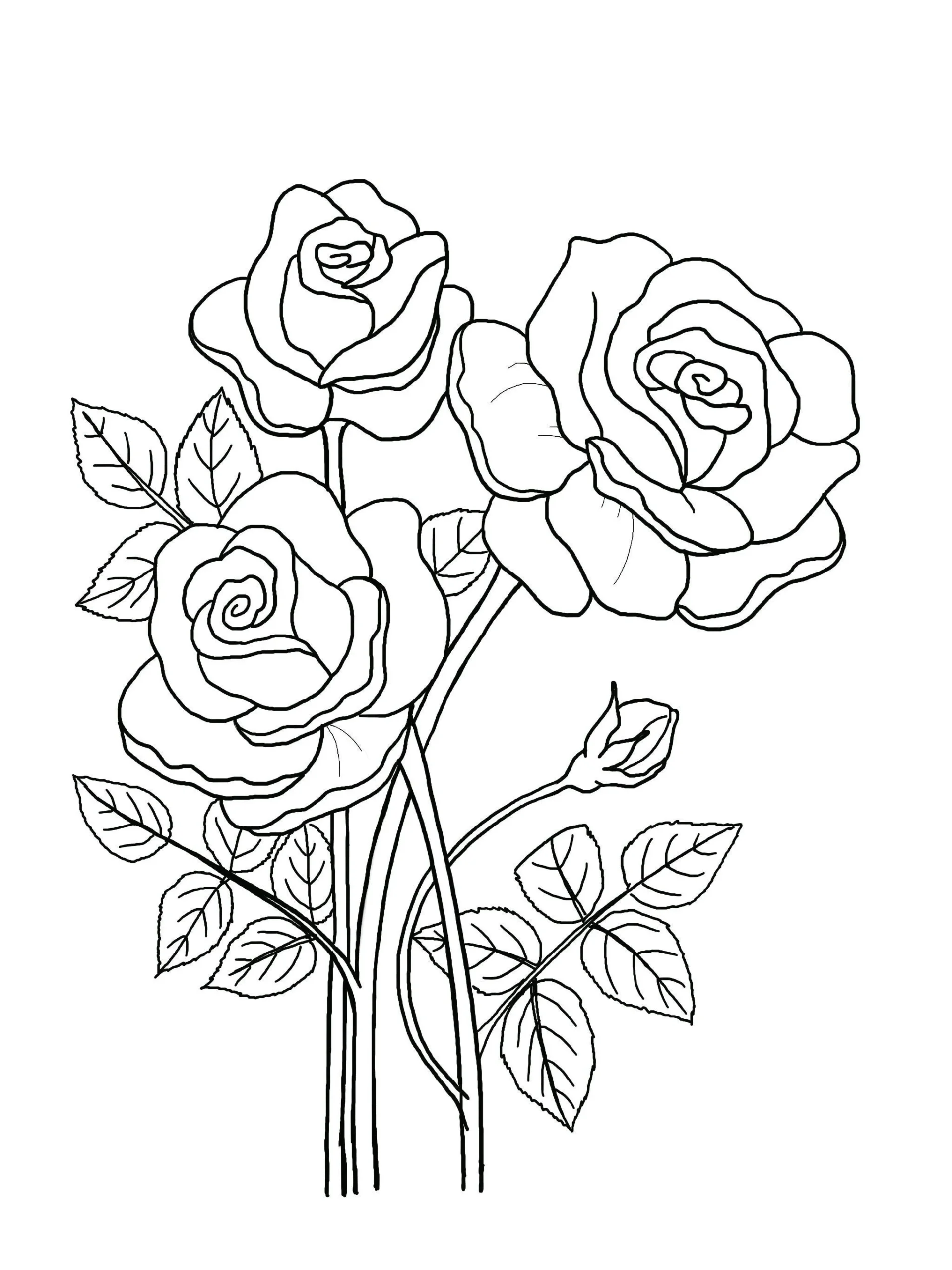 Printable Floral Coloring Sheets Coloring Pages Adult Coloring 