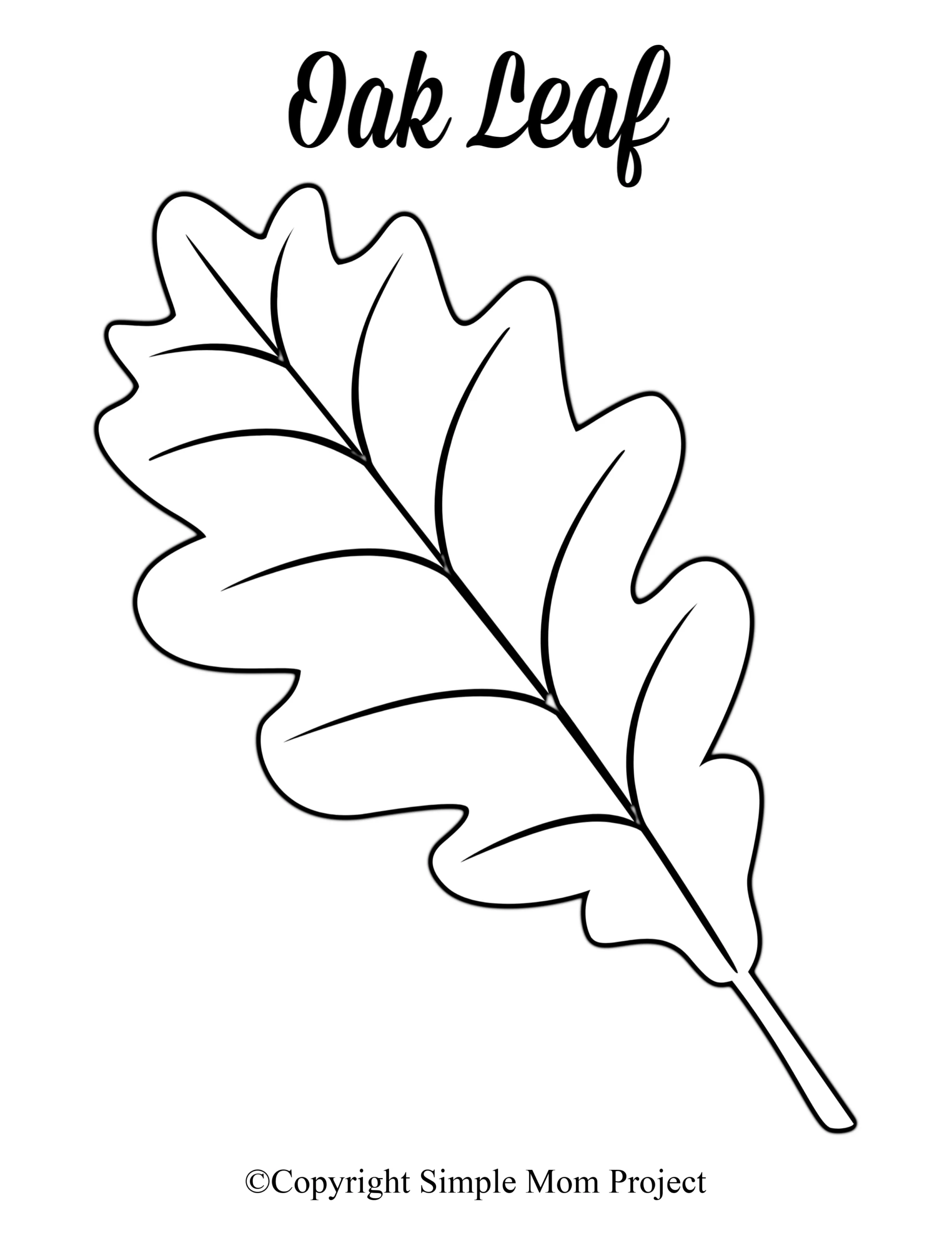 Printable Leaf Patterns Designs