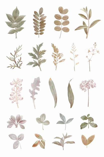 Free Printable Sticker Designs