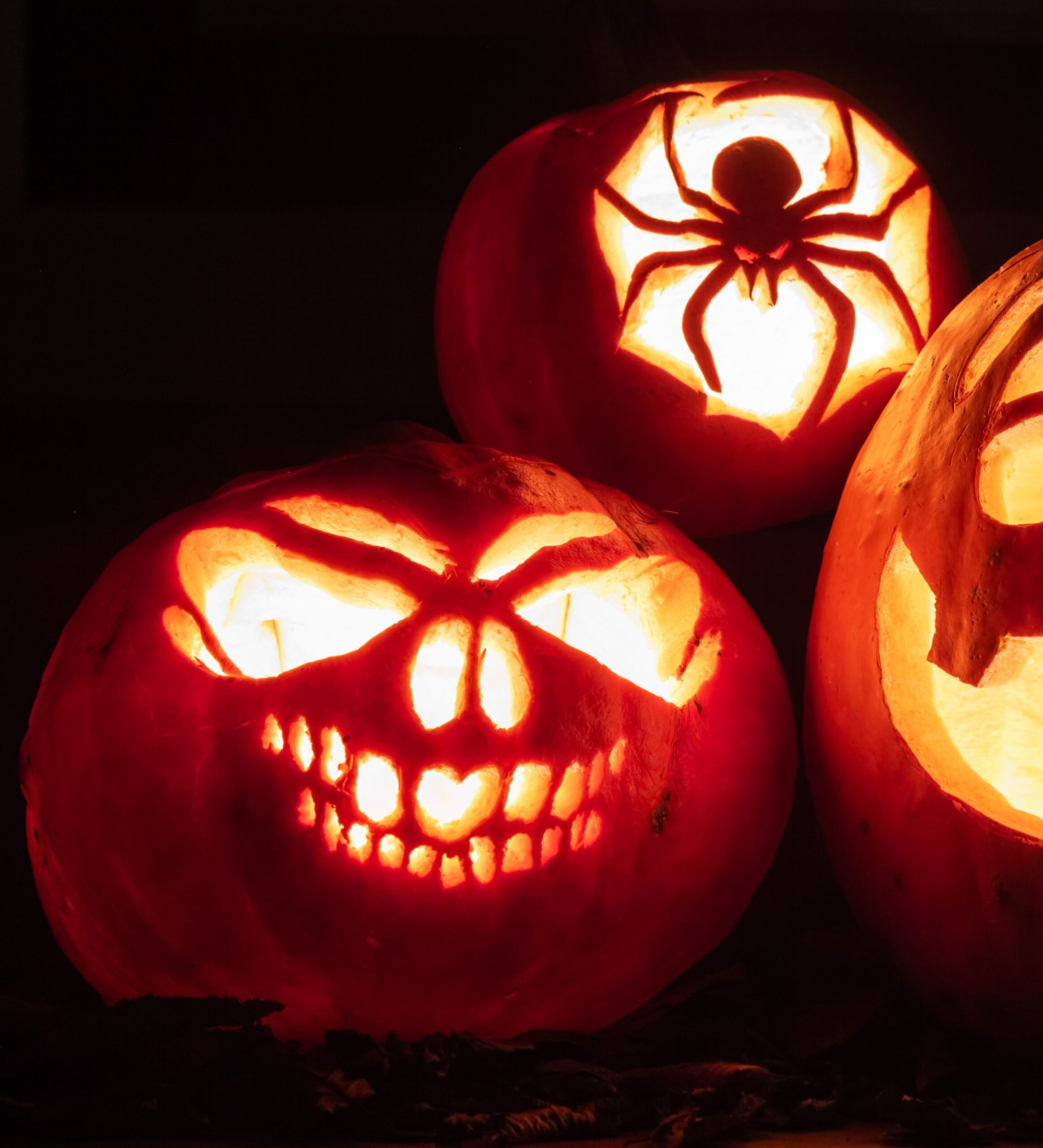Printable Pumpkin Design