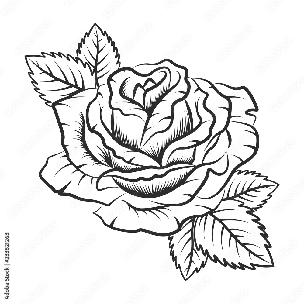 Stock Vektorgrafik Vintage Rose Flower Beautiful Template For 