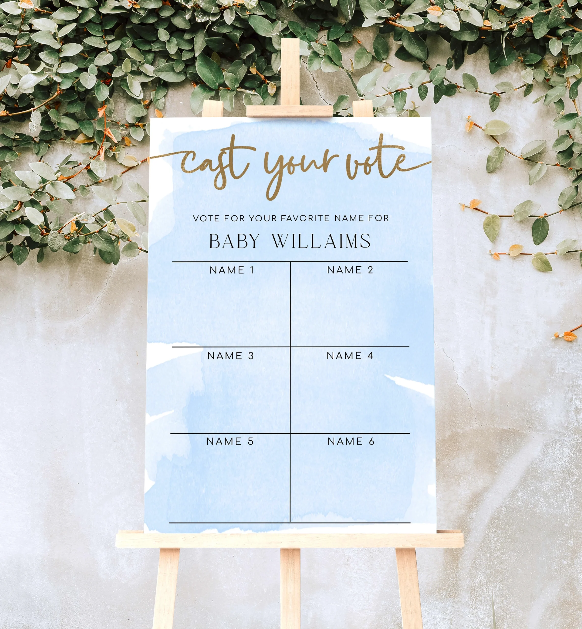 Watercolour Blue Printable Baby Name Voting Game Sign Template 